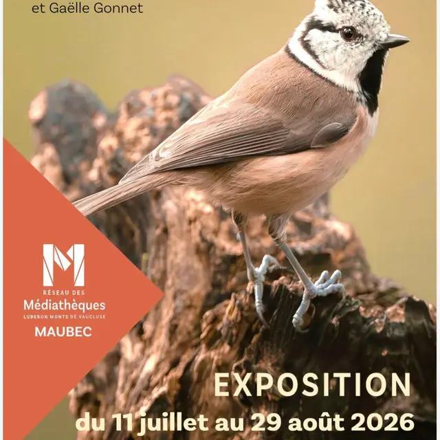 Plumes de lumière - Exposition_Maubec