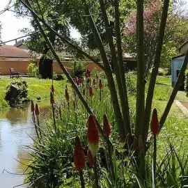 Camping la Chalaronne