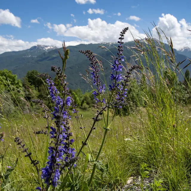 On dirait le Sud… en gravel_Eygliers