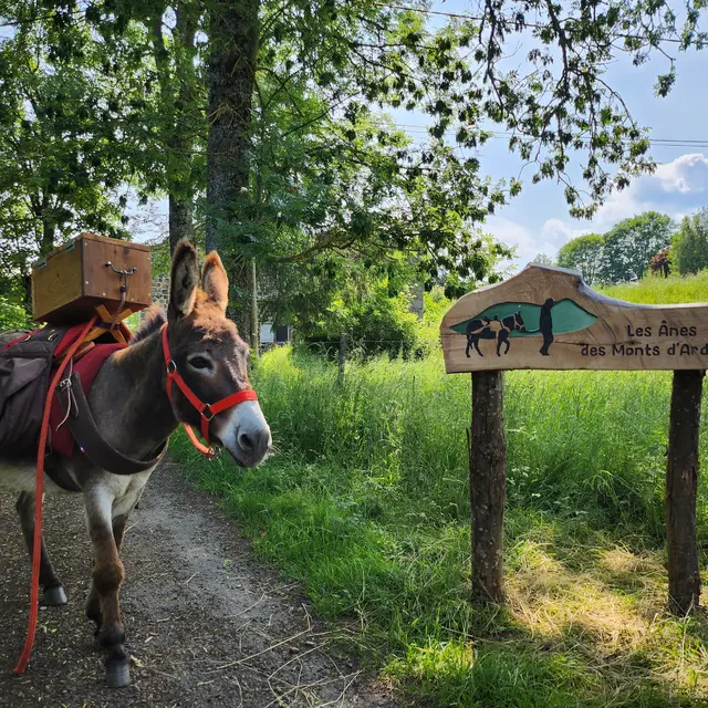 Chasse aux trésors