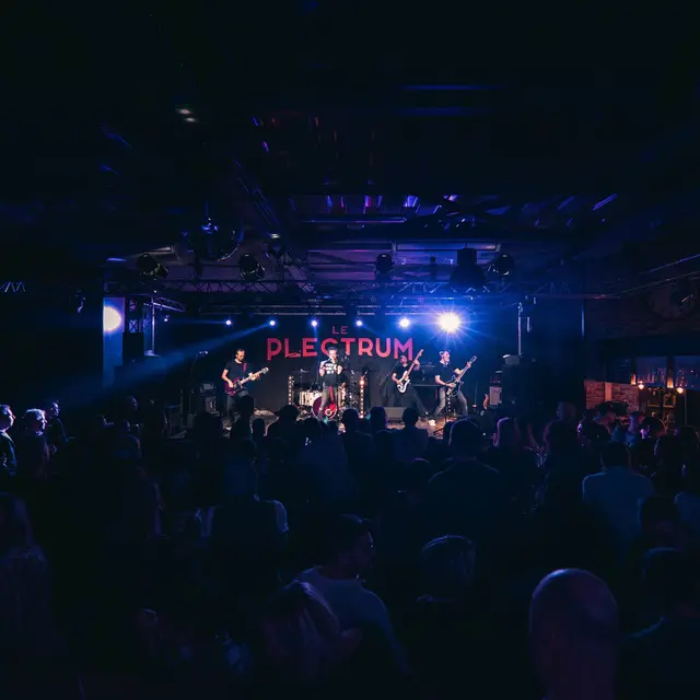 Concert au Plectrum