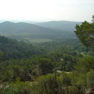 13VIS000395_1_WEB.jpg