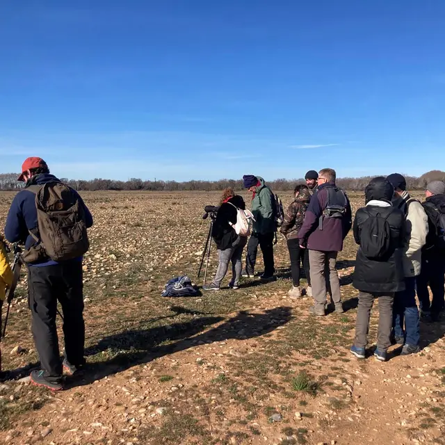 Sortie dans la Réserve naturelle des coussouls de Crau