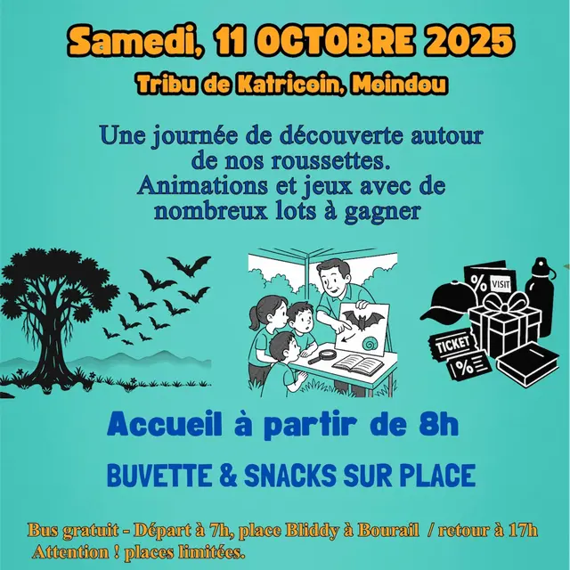 Affiche nuit de la roussette