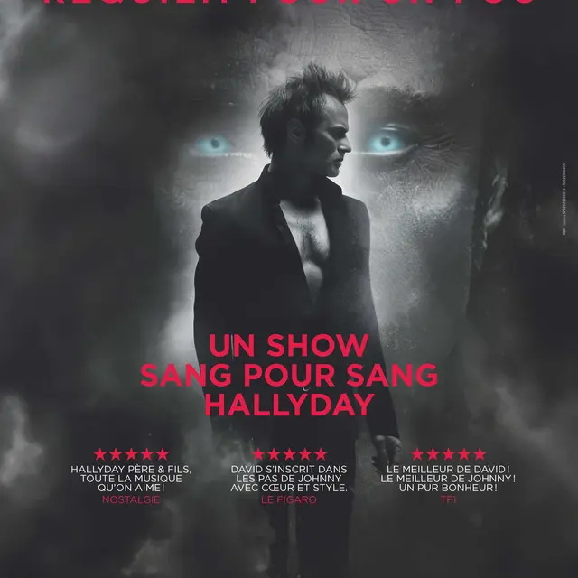 David Hallyday Requiem pour un fou