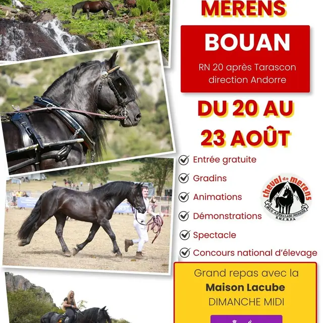 La grande Fête nationale du cheval de Mérens_Bouan