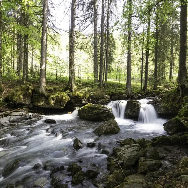 Cascade de la rivière d'Ardent