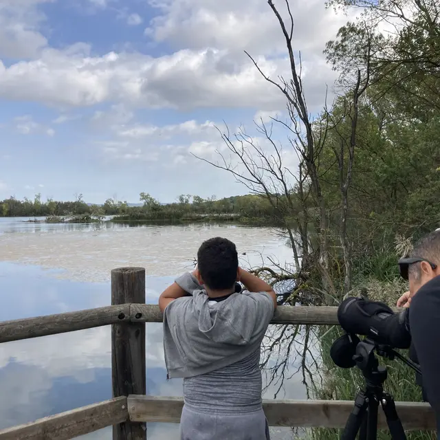 Sortie nature : Visite des marais de Beauchamp_Saint-Rémy-de-Provence