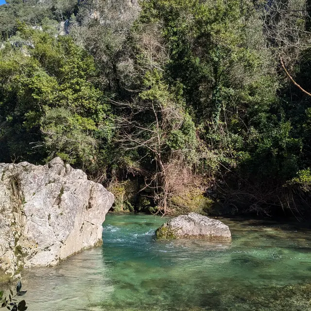Les gorges de la Siagne - Espace Natura 2000_Montauroux
