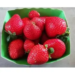 La Ferme des Brindilles