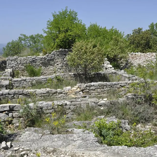 Vieille Cité