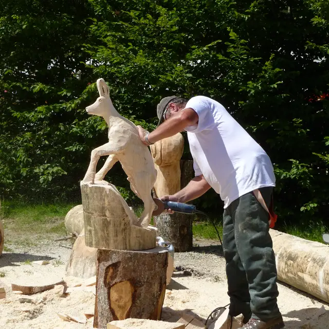 Concours de bucherons