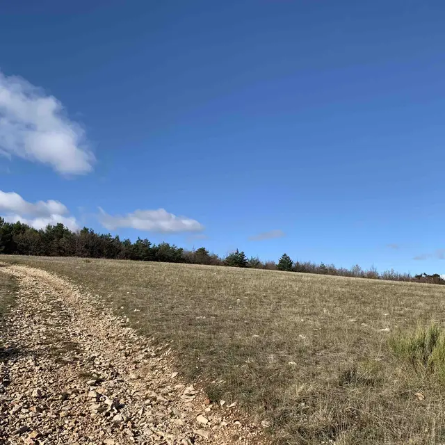 Lavandes de Ballagros