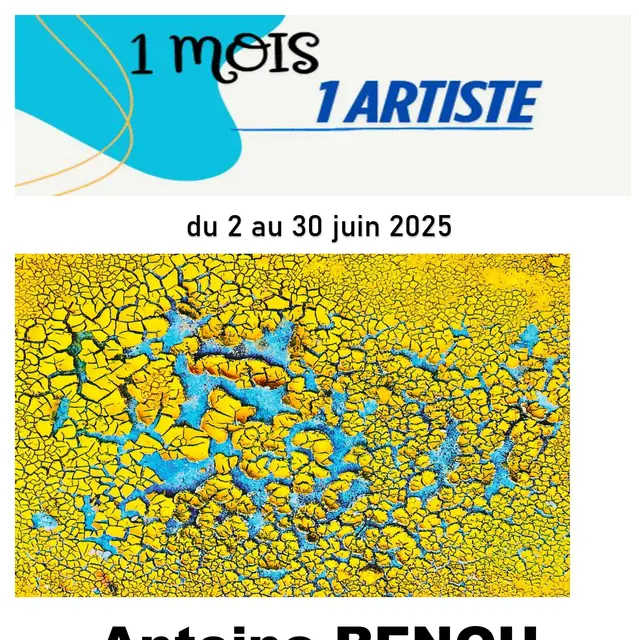 Exposition 1 mois / 1 artiste : Antoine Renou_La Flotte