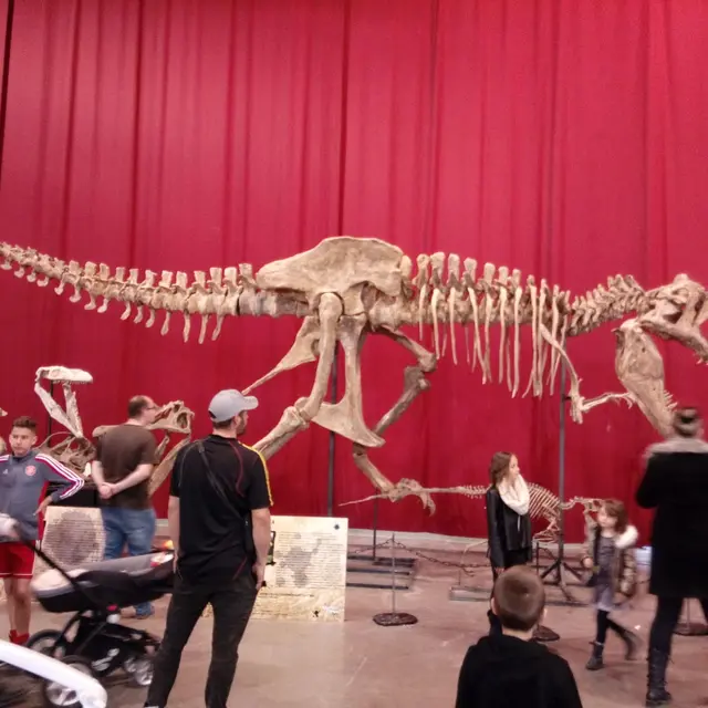 Salon international des minéraux de Martigues_Martigues