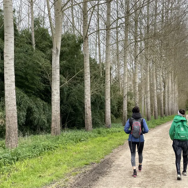 Circuit des coteaux de Saint-Pierre de Montastruc_Montastruc