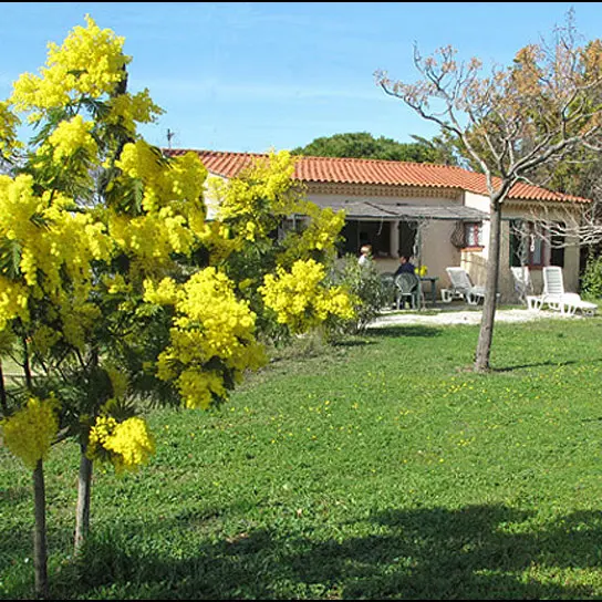 Gîte Mimosas