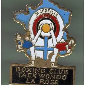 Boxing Club Taekwondo la Rose