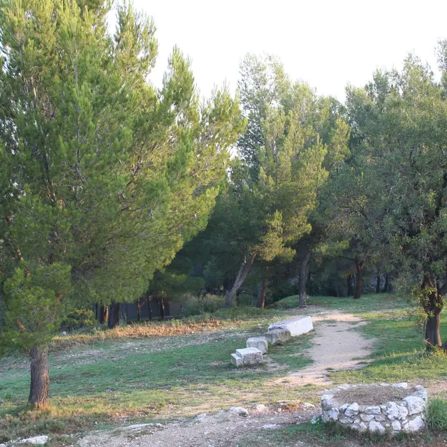 Randonnée commentée : La colline et la crèche grandeur nature