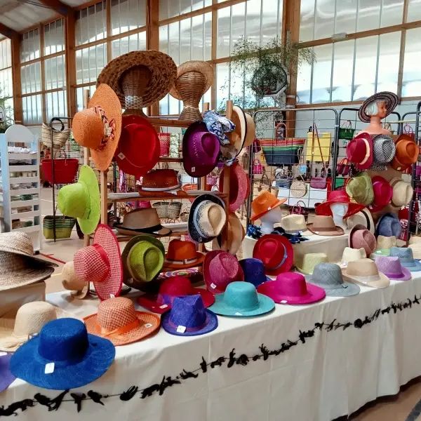 25ème Journées africaines