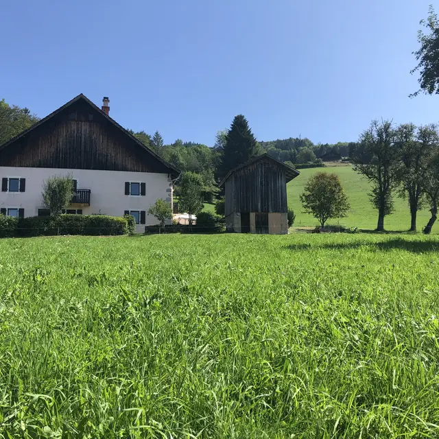 epervier_blanc_haberepoche