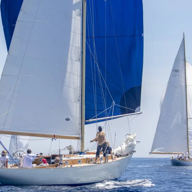 Les Voiles du Vieux Port Marseille