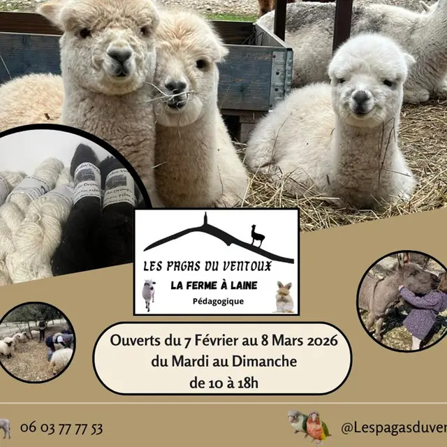 Vacances d'hiver aux Pagas du Ventoux_Bédoin