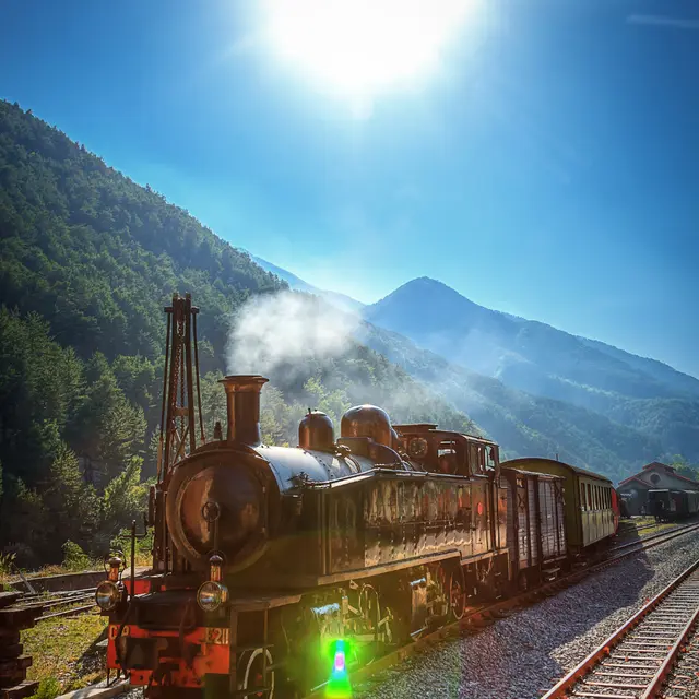 Le Train des Pignes à vapeur
