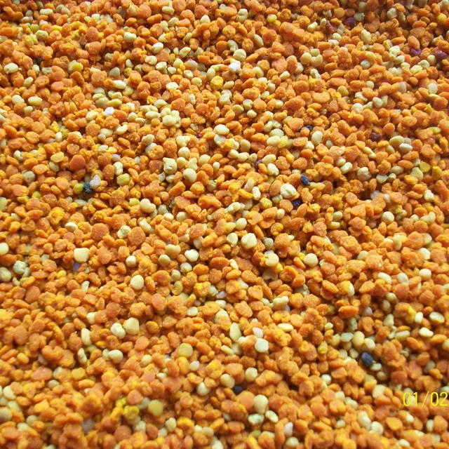 Moulin à huile Jullien