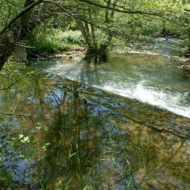 Rivière Réal Martin