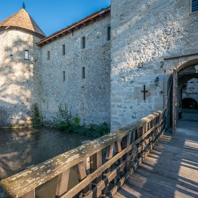 Exposition 1000 ans d’Histoire de la Savoie_Brenthonne