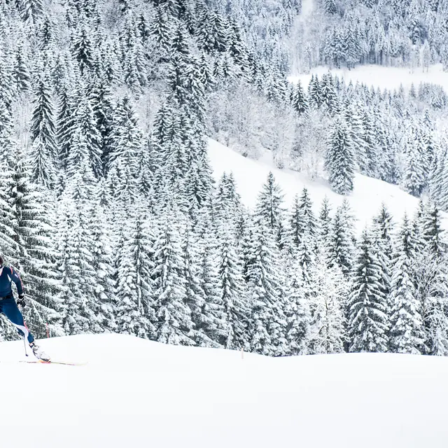Ski de fond