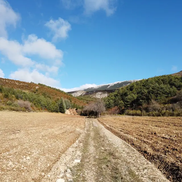 Marignol_Moustiers-Sainte-Marie
