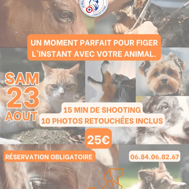Shooting photo spécial animaux_Puget-sur-Argens