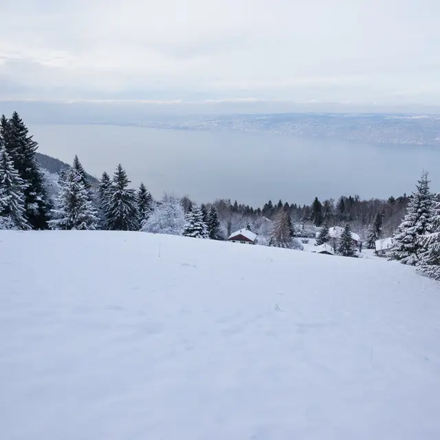 Itinéraire raquettes - Autour de Thollon - Thollon-les-Mémises