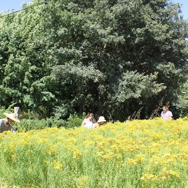 Les Sentiers de l'Abondance à Eygalières Champ