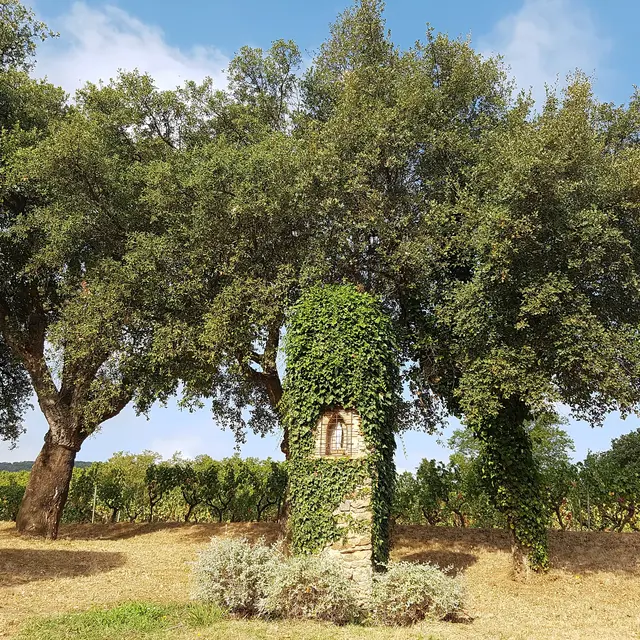 Oratoire Minuty à Gassin (https://gassin.eu)