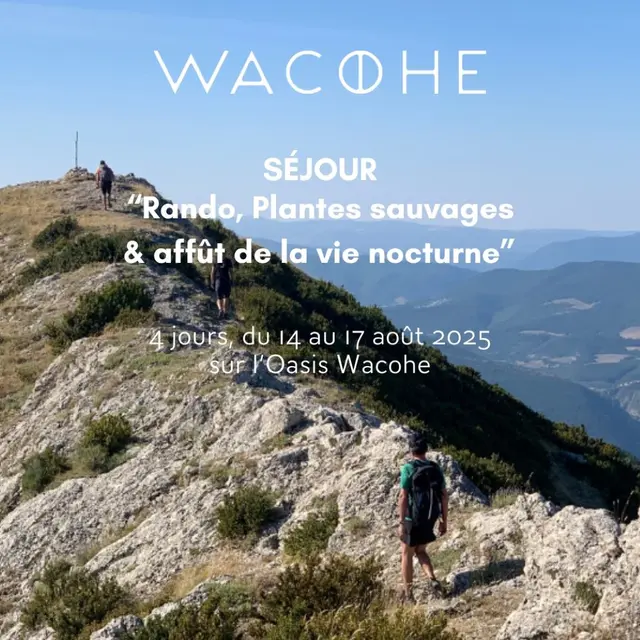 Séjour 'Rando, plantes sauvages & Affût de la vie nocturne' - Wacohe_Mollans-sur-Ouvèze