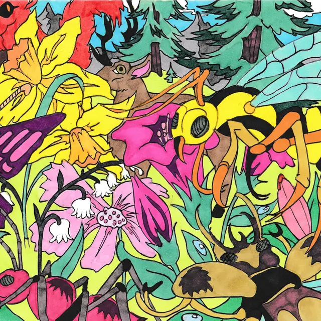 Exposition de dessins de Rémi Nadau_Morillon