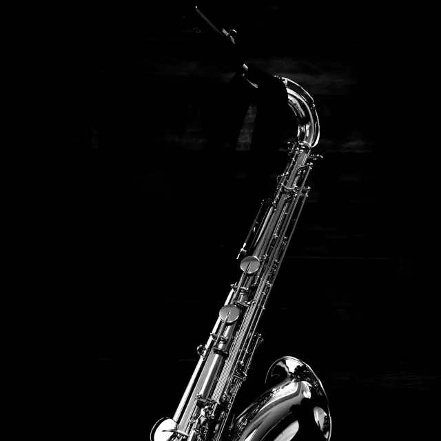 Animations musicales de Noël - saxophoniste_Fréjus