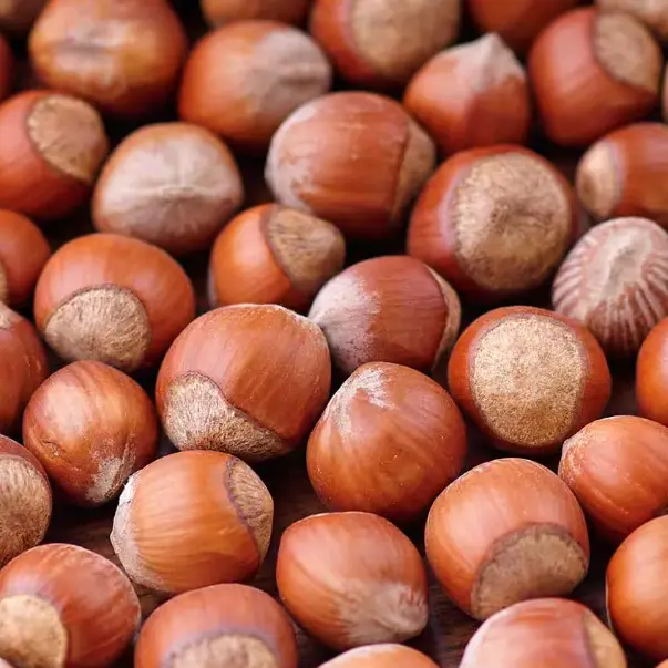 Fête de la Noisette : Valorisation de l'artisanat et des producteurs_Lavelanet