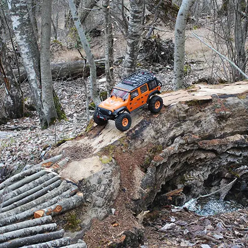 Week-end du modélisme_Allos