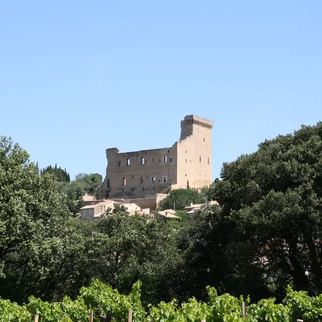 Château des Papes