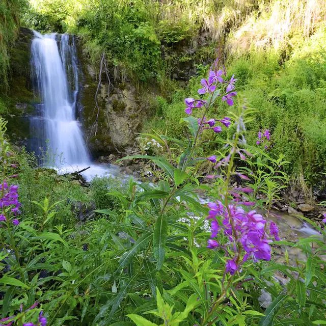 Cascade du Nant du Moulin