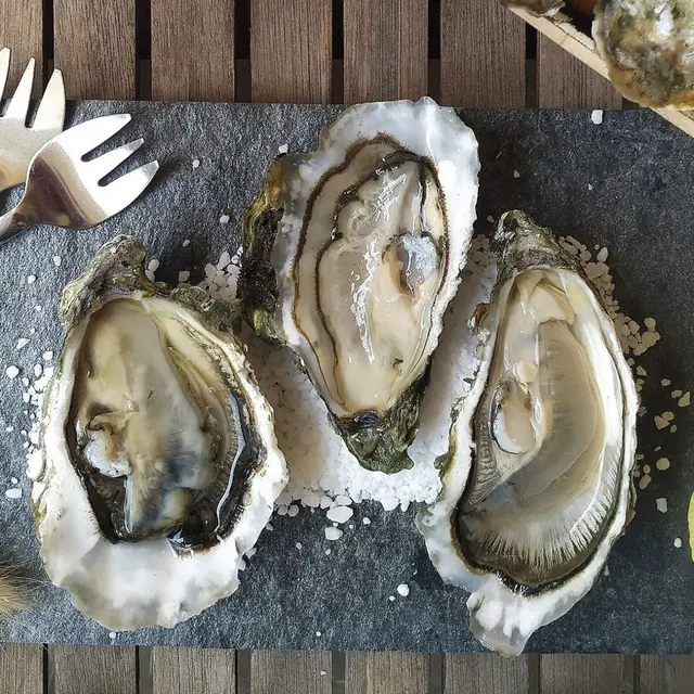 Nos huîtres