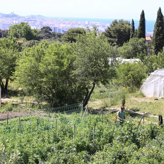 Ferme Terre de Mars Marseille
