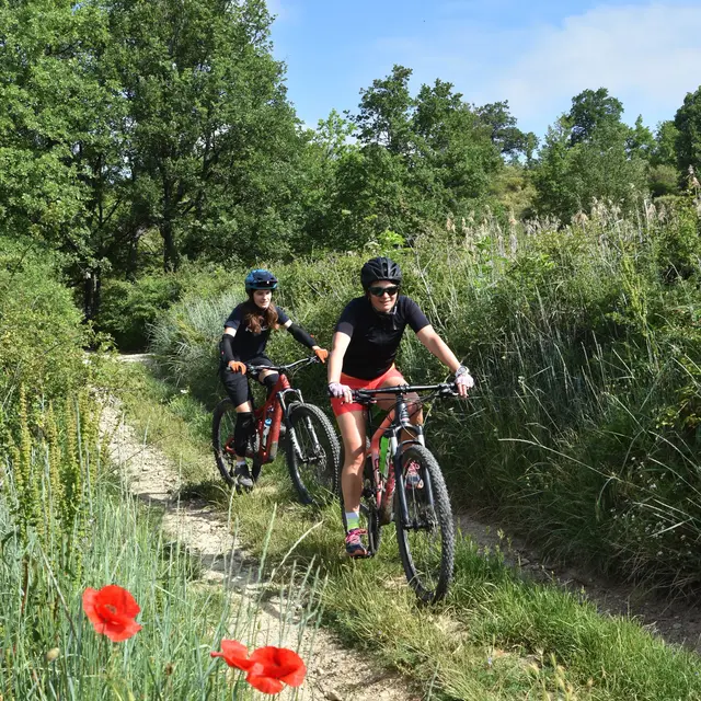 Site VTT FFC-Pays d'Oraison-Coeur de Durance-Circuit 6-Noir-Oraison_Oraison