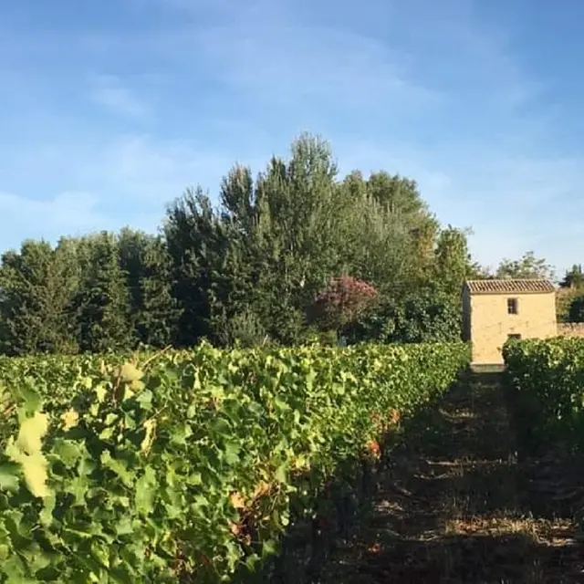 Le Cabanon d'Elie et Célesta à Caromb