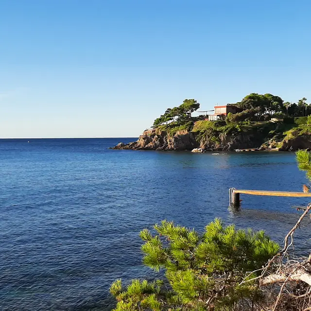 Graines de pirates à Giens : plantes pirates et trésors naturels_Hyères