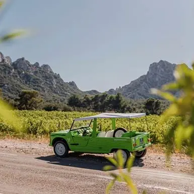 Yes Provence - The Vintage Roads_Saint-Andiol